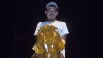 Florida fisherman catches record-breaking flathead, gets praise for 'amazing angling accomplishment'