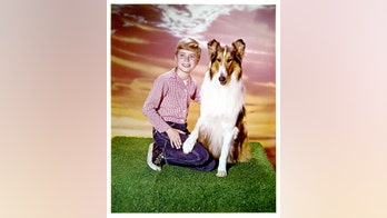 ‘Lassie’ star Jon Provost says Timmy was never trapped in a well: ‘We just don’t know where that came from’