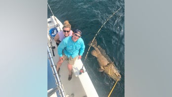 Fishermen catch goliath grouper weighing 350 pounds: 'I’ve never seen people so excited in my life'
