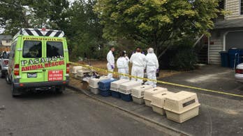 37 cats, 14 of them dead, are found in search of Washington state home: police