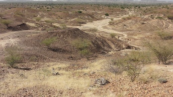 Fossilized remains of 4 million-year-old monkey found