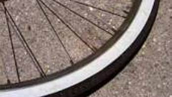 Massachusetts man accidentally sold wife’s bike – given to her by Holocaust-surviving father – during yard sale: reports