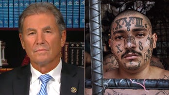 Ex-FBI official: 'Insidious' MS-13 gang isn't after money, just wants to spread 'senseless violence'