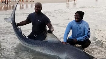Texas brothers catch and release 12-foot tiger shark: 'Dreams came true today'