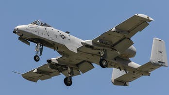 Air Force fighter jet drops dummy bombs over Florida after bird strike, officials say