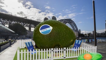 Booking.com creates Avo-Condo with 'world-class view' for National Avocado Day