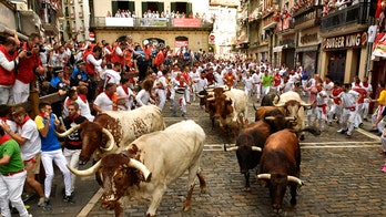 Man dies in Spain after being gored during a bull run