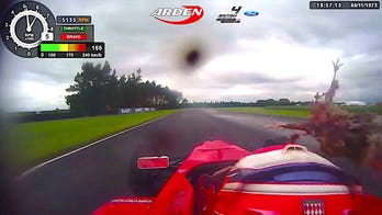 Pheasant hits race car driver in head at 105 mph: 'It felt like I was hit by a brick in the face'