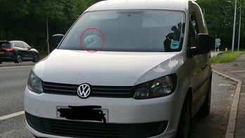 Cops catch driver doing 90 mph with dog in lap