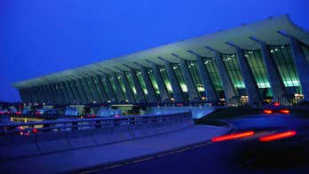 Cat missing at Dulles Airport for 2 months found, returned to excited owner: 'I am so thankful'