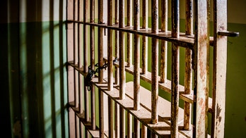 Chicago gang leader accused of supporting ISIS