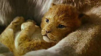 Michael Knowles: Piece calling 'Lion King' fascist 'the stupidest article I've ever read in The Washington Post'