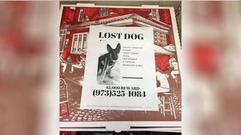 New Jersey pizza place is helping community find their lost pets
