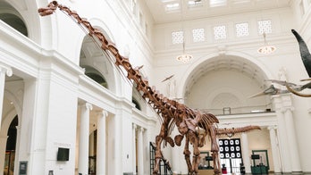 The biggest dinosaur to ever walk the Earth just wants to text you