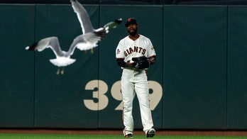 San Francisco Giants deter invading seagulls with 'Cha Cha Slide'