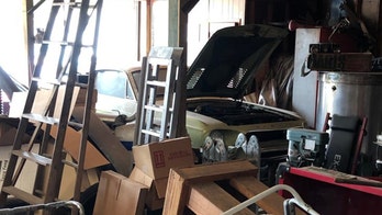 Two dusty Ford Mustang Shelby GT500s parked in warehouse for 15 years worth a fortune