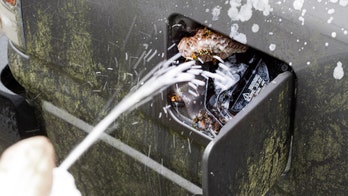 Massachusetts man sparks fire on roof using Roman candle to kill hornets