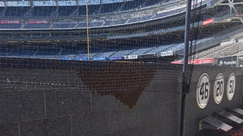 New York's Yankee Stadium hit by swarm of 25,000 bees before game