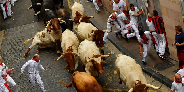Revellers run next to the bulls during the bulls at the San Fermin Festival, in Pamplona, northern Spain, Sunday, July 7, 2019.