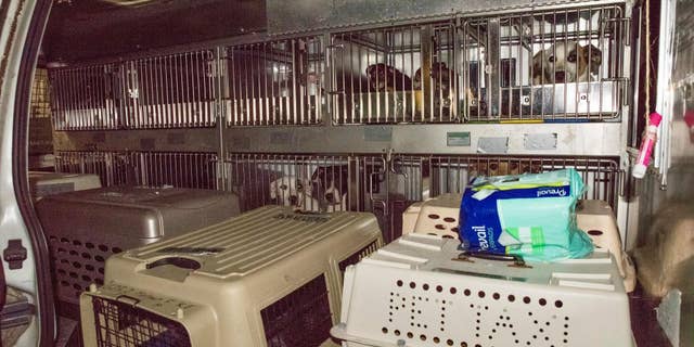 The D.C. based Humane Rescue Alliance teamed up with St. Hubert's Animal Welfare Center in New Jersey to rescue the animals from two Louisiana shelters, St Landry Animal Care and Control and St. Martin Animal Shelter, which are located in the path of the storm.