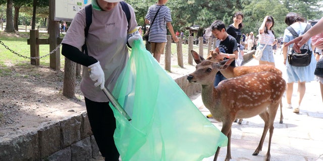 Nine deer at the park have died recently after swallowing plastic bags. Nara Park has more than 1,000 deer and tourists can feed them special sugar-free crackers sold in shops nearby. (Kyodo News via AP)