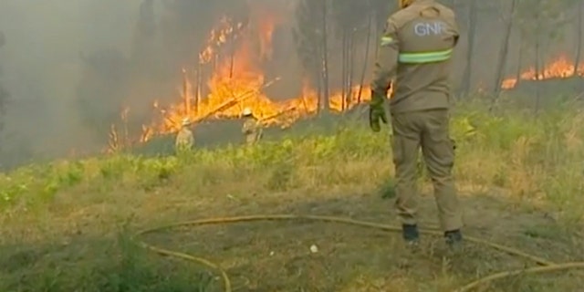 Members of the emergency services try to extinguish the fire in Vila de Rei Portugal on Saturday. Portuguese authorities say 1,000 firefighters are working to contain wildfires that have injured eight firefighters and one civilian. Portugal’s Civil Pr