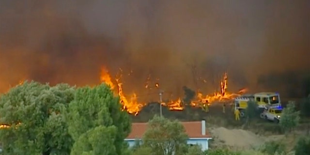 Members of the emergency services try to extinguish wildfires in Vila de Rei Portugal