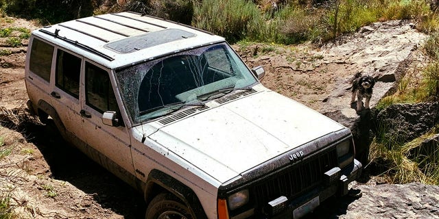 This undated photo provided by the Oregon State Police shows a jeep and dog belonging to a 73-year-old man who was found by a mountain biker on July 18, 2019. (Oregon State Police via AP)
