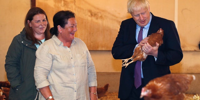 Britain's Prime Minister Boris Johnson, right, accompanied by local farmers Ingrid Shervington, second left and her daughter Victoria Shervington-Jones, inspects the chickens during his visit to rally support for his farming plans post-Brexit, at Shervington Farm, in St Brides Wentlooge near Newport, south Wales, Tuesday, July 30, 2019.