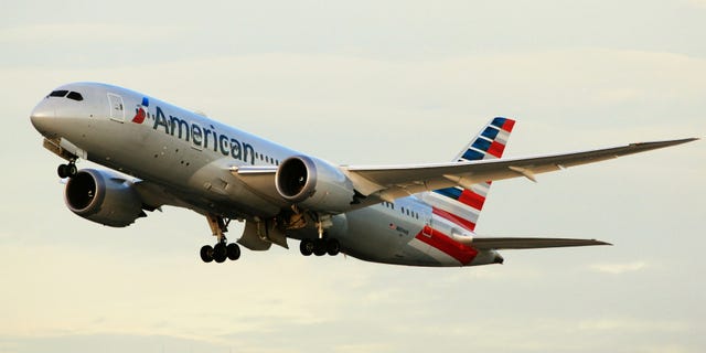 American Airlines flight attendant requires stitches after emotional support dog bite | Fox News American Airlines flight attendant requires stitches after emotional support dog bite | Fox News