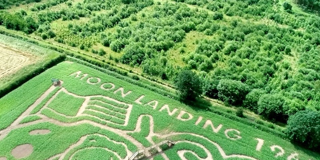 The maze commemorates the 50th anniversary of the Apollo 11 Moon landing. (SWNS)