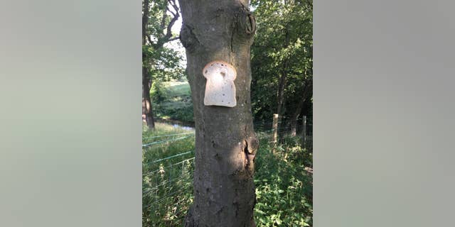 “First Breadding of the day,” one user posted of their recent work.