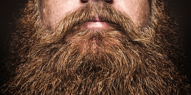 Most lumberjacks would approve, though.