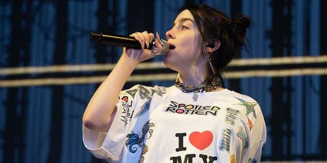 Singer-songwriter Billie Eilish performs on stage at Marymoor Park on June 02, 2019 in Redmond, Washington. (Photo by Jim Bennett/Getty Images)
