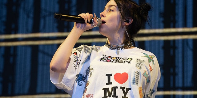 Singer-songwriter Billie Eilish performs on stage at Marymoor Park on June 02, 2019 in Redmond, Washington. (Photo by Jim Bennett/Getty Images)