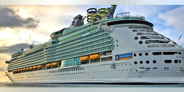 A toddler from Indiana died aboard the Royal Caribbean's Freedom of the Seas ship over the weekend. 