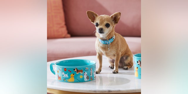 Reps for Mickey Mouse announced the launch of the special collection on social media this week.
