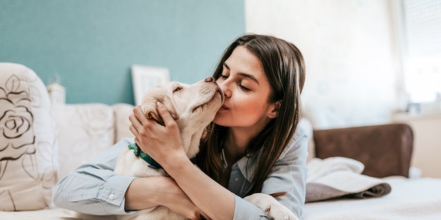 Fifty-two percent of those surveyed claimed they’d rather share a bed with a dog over a partner.