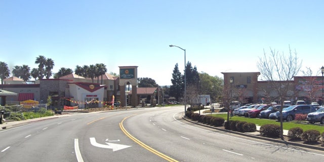 Fairfield Police believe a woman gave birth to two infants behind a business in the 300 block of Pittman Rd.