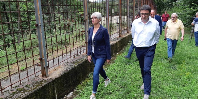 Trentino's governor Maurizio Fugatti is seen walking along the electric fence that M49 was said to climb over.