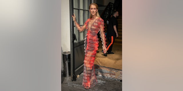 Celine Dion on July 1, 2019 in Paris.