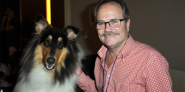 Lassie and actor Jon Provost participate in The Hollywood Show held at Westin LAX Hotel on July 13, 2013, in Los Angeles. (Photo by Albert L. Ortega/Getty Images)