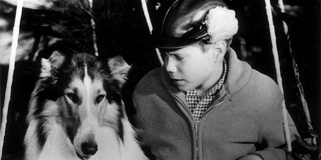 Jon Provost with Lassie, circa 1962 — Getty