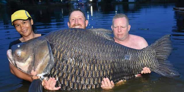 John Harvey, no centro, diz que pegou um peixe carpa de 232 libras na Tailândia.