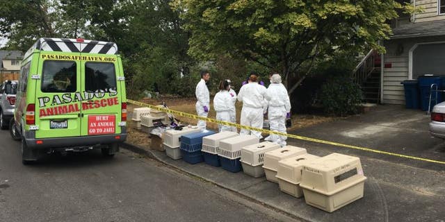 Police say they found 37 cats, including 14 dead ones, during a search early Tuesday.