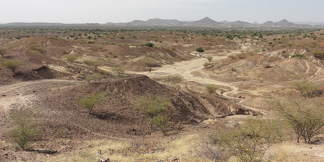 This is the Kanapoi site in Kenya, East Africa. (Credit: Carol Ward)