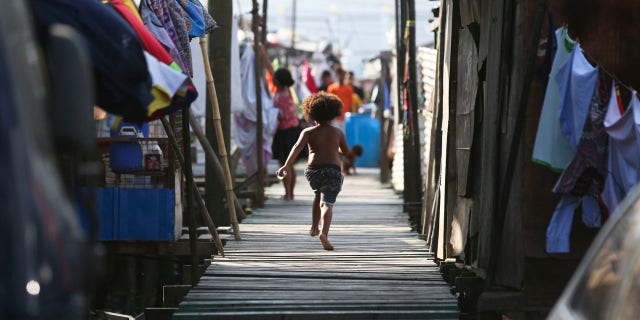 More than 20 people including pregnant women and children have been killed in recent tribal violence in Papua New Guinea, media reported on Wednesday.