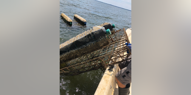 The thieves raided a total of 72 bags from 12 oyster cages belonging to the Pensacola Bay Oyster Co.