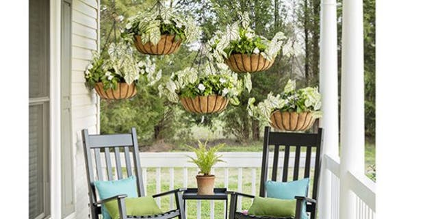 Plants add life — literally — while also creating a makeshift divider between your porch area and the neighbor's yard.