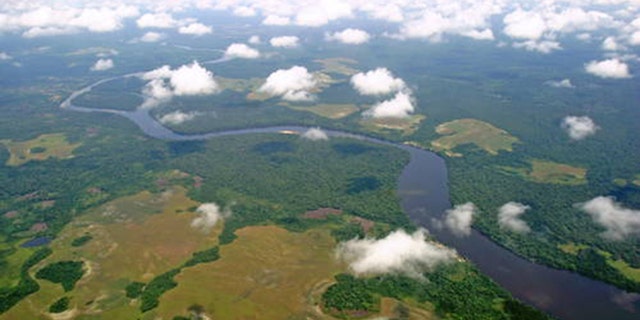An aerial view of Salonga National Park in the Democratic Republic of Congo. (Photo: UNESCO)
